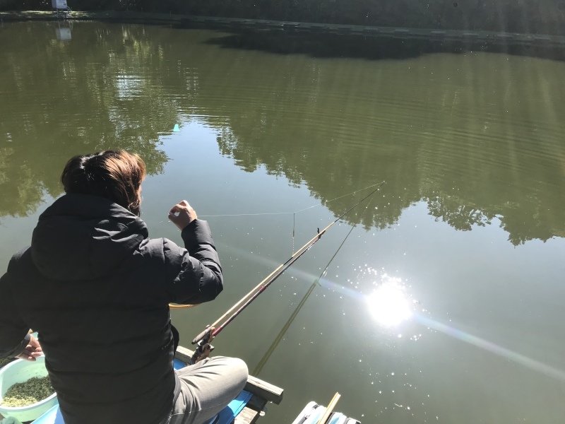 b0381760_17145918.jpeg