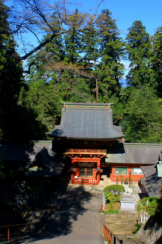 c0305565_17421808.jpg