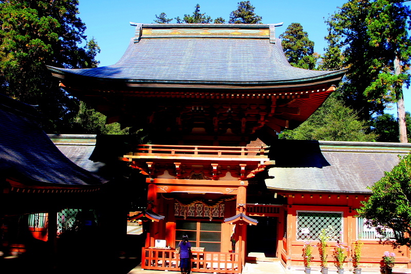 c0305565_17424111.jpg