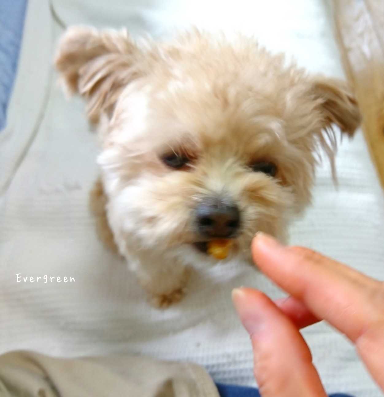 11/3(土) 眠るは最強の薬なり。_d0362666_14290424.jpg