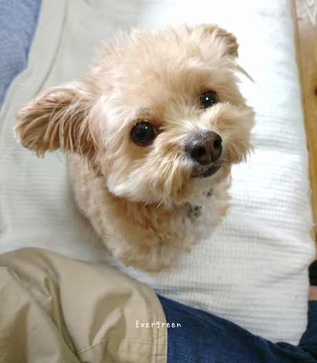 11/3(土) 眠るは最強の薬なり。_d0362666_14291784.jpg
