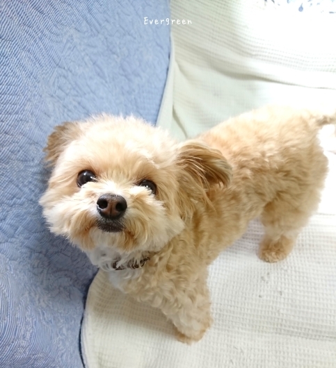 11/3(土) 眠るは最強の薬なり。_d0362666_14292900.jpg