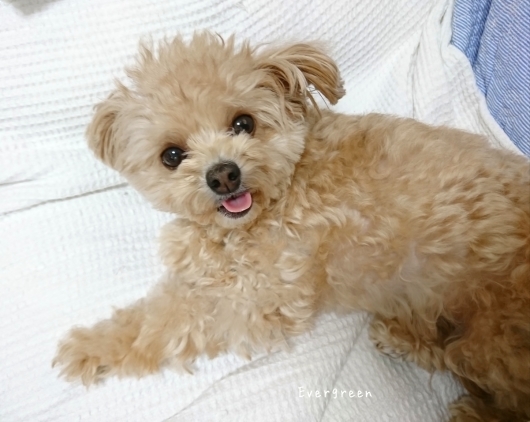 11/3(土) 眠るは最強の薬なり。_d0362666_14294209.jpg