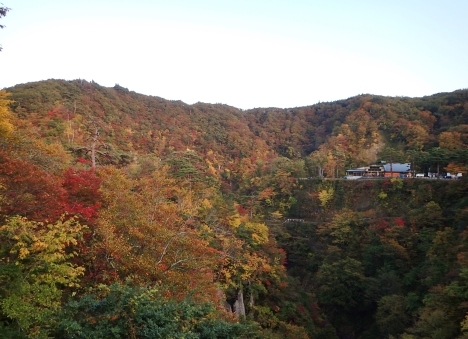 f0350468_10523409.jpg