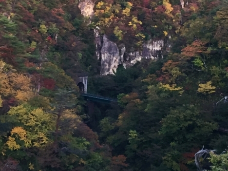 f0350468_10530922.jpg
