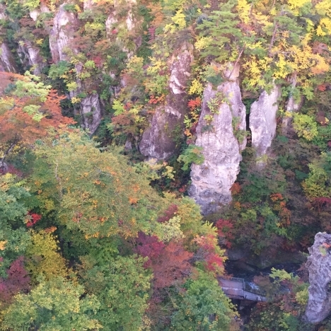 f0350468_10532784.jpg