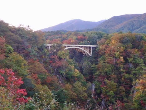 f0350468_10534202.jpg