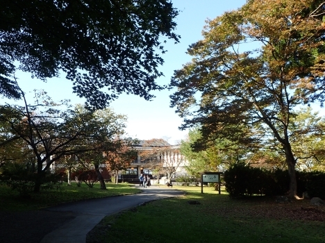 f0350468_13545372.jpg