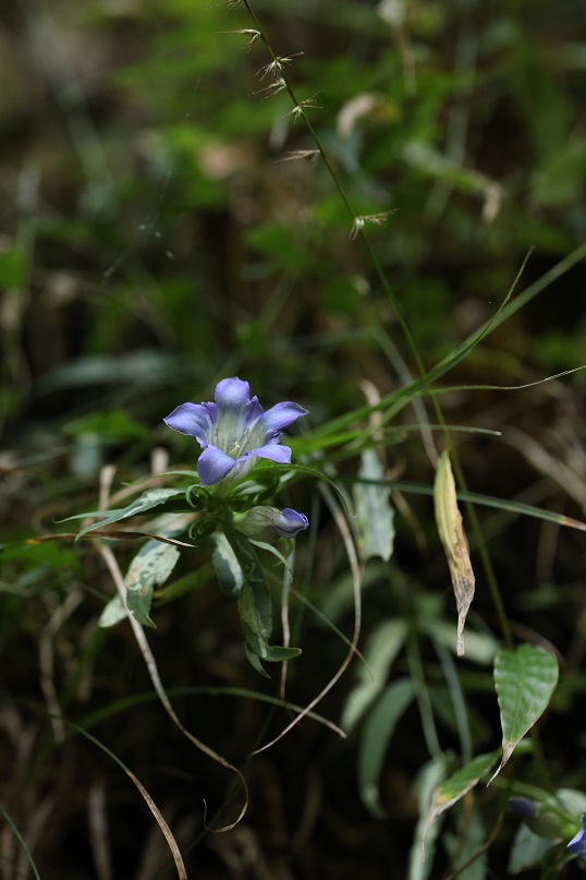 e0304170_19301238.jpg