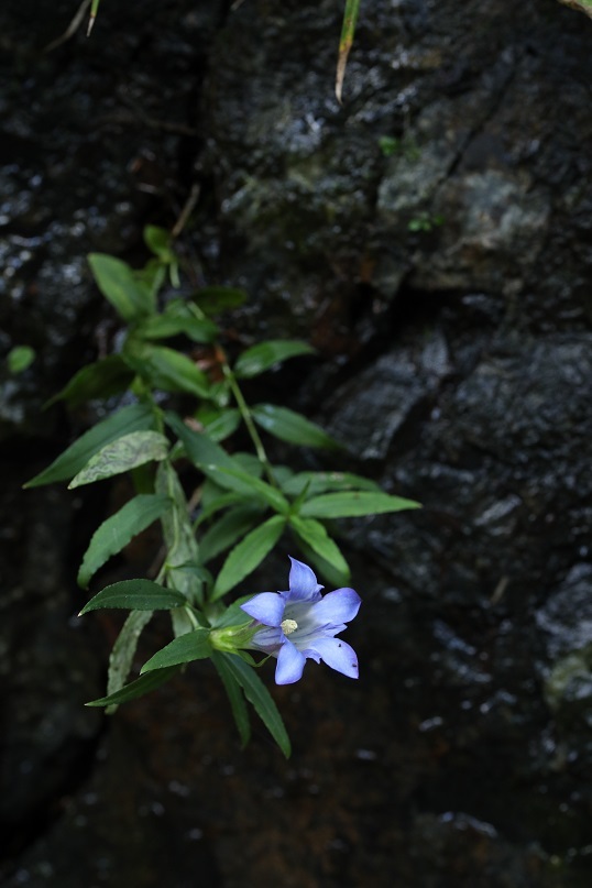 e0304170_19313147.jpg