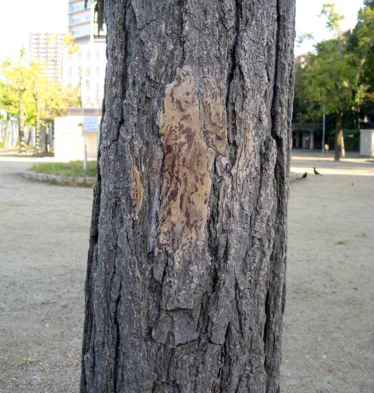 b0057679_09161250.jpg
