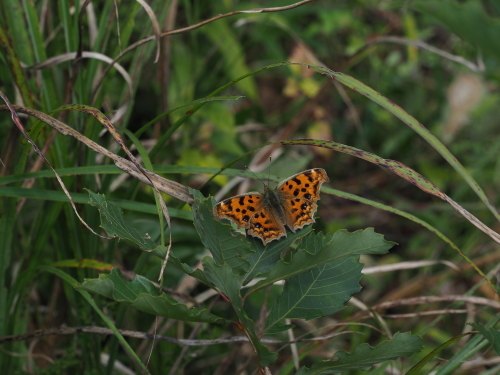 f0348480_17201545.jpg
