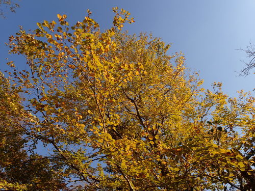 f0348480_17440611.jpg