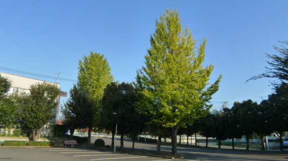 c0212083_17461828.jpg
