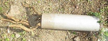f0003283_07391564.jpg