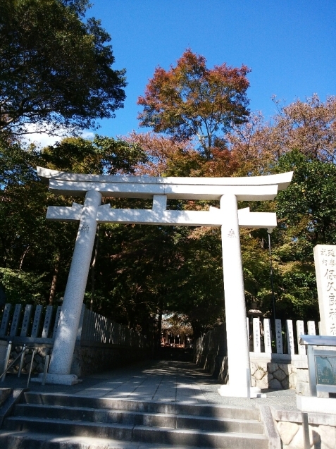 ⭐今日は鷺宮八幡宮＆保久良神社⭐_e0371086_20431893.jpg