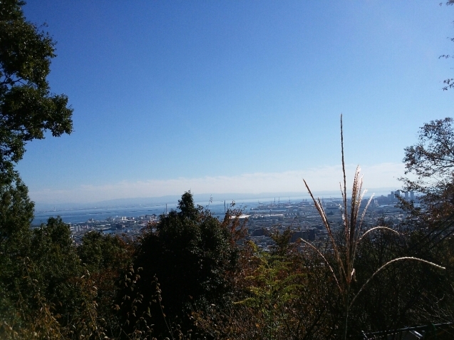 ⭐今日は鷺宮八幡宮＆保久良神社⭐_e0371086_20432173.jpg