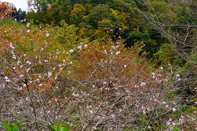a0345188_02342259.jpg