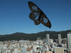 b0192588_9421376.jpg