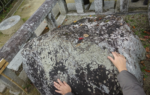 c0168990_17355417.gif