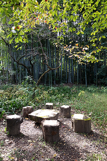 e0277800_14322827.jpg