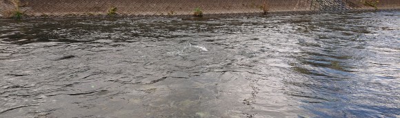 f0266202_15041782.jpg