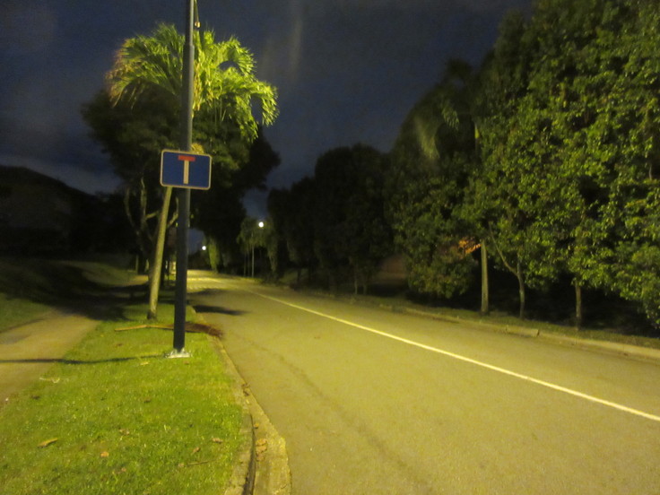 c0212604_8393360.jpg