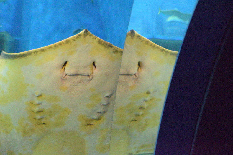 c0336907_20373514.jpg