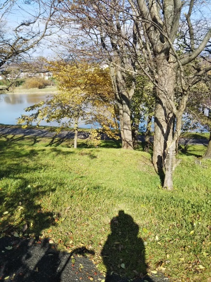 f0316507_17584885.jpg