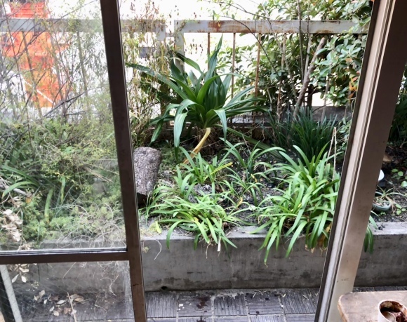 c0388708_21544162.jpeg