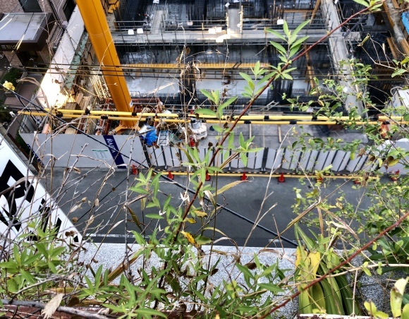 c0388708_21562363.jpeg