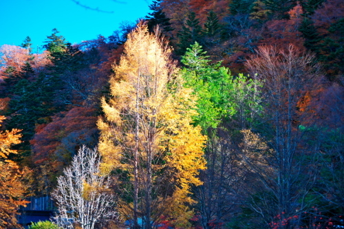 a0263109_09434478.jpg