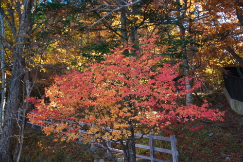 a0263109_09443604.jpg