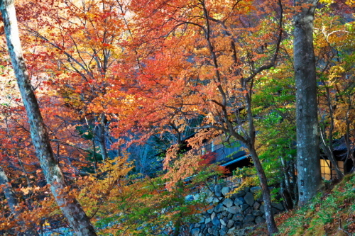 a0263109_09443756.jpg