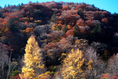 a0263109_09512918.jpg