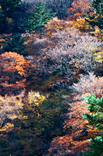 a0263109_09513061.jpg