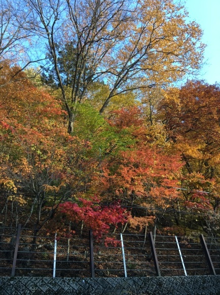 c0109109_10045819.jpeg