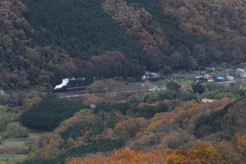 紅葉の山に白煙が浮かんだ - 秩父鉄道・2016年秋 -_b0190710_18433252.jpg