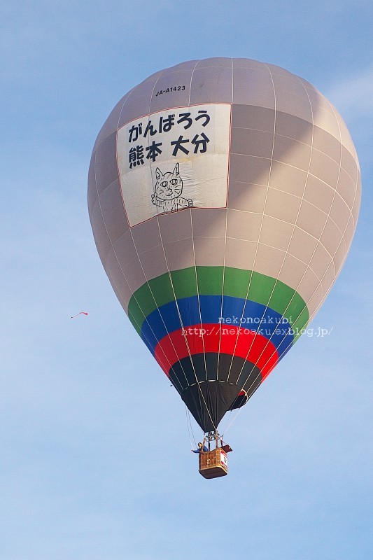 佐賀インターナショナルバルーンフェスタ 18 ねこのあくび