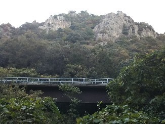 c0359615_08230195.jpg