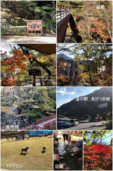 * エネルギッシュな吾妻渓谷を歩く *_d0317115_22161604.jpg