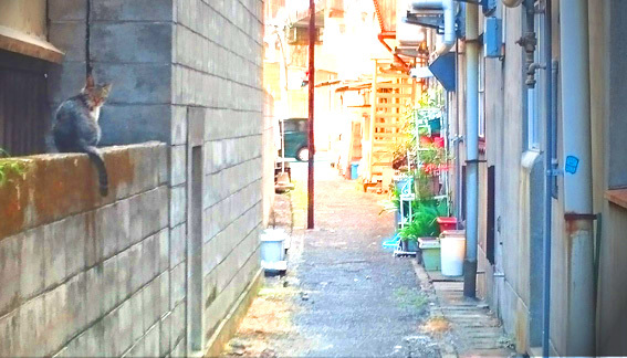 a0329820_14591034.jpg