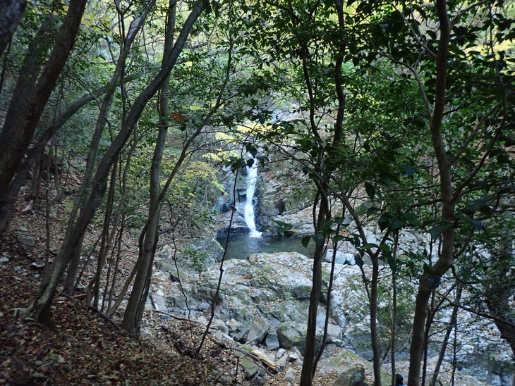 f0193521_2142289.jpg