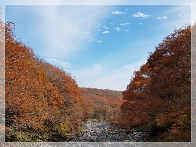 a0115924_21465240.jpg