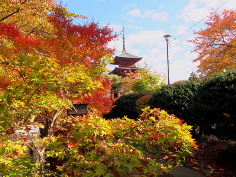 最勝院五重塔の紅葉(弘前市)*2018.11.04_b0147224_2052360.jpg