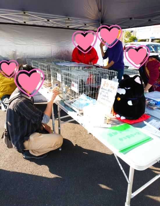 里親会のご報告🧡_d0233224_00304598.jpg