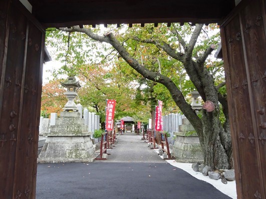 f0213825_08370330.jpg