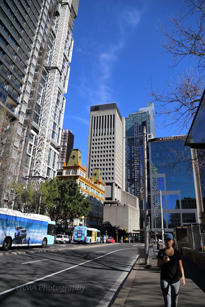 c0024729_15003490.jpg