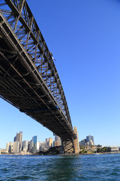 c0024729_20010596.jpg