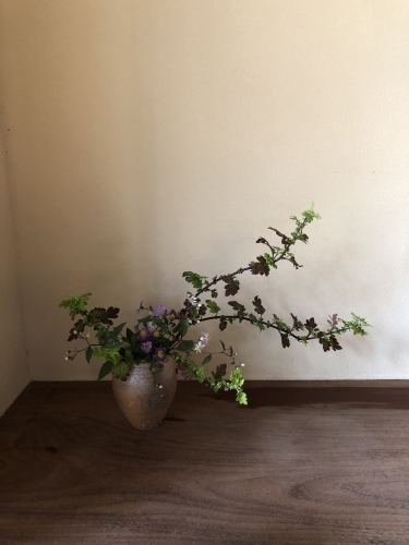 紅葉の季節に_a0197730_16145381.jpg